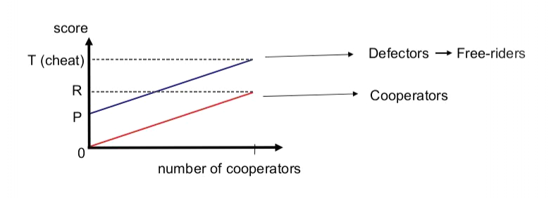 N-player graph 1.png