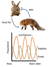 Negative feedback loop.